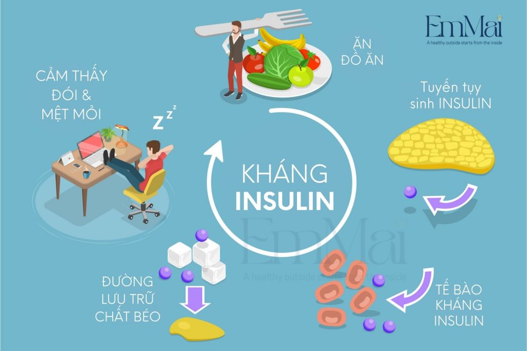 Kháng insulin là gì Triệu chứng, nguyên nhân và cách phòng ngừa